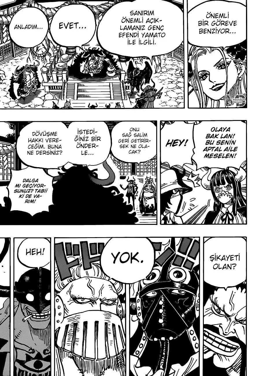 One Piece - Sayfa 15
