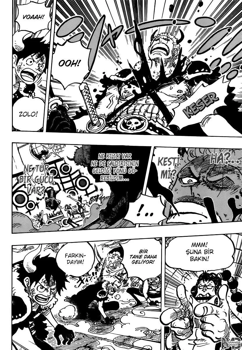 One Piece - Sayfa 13