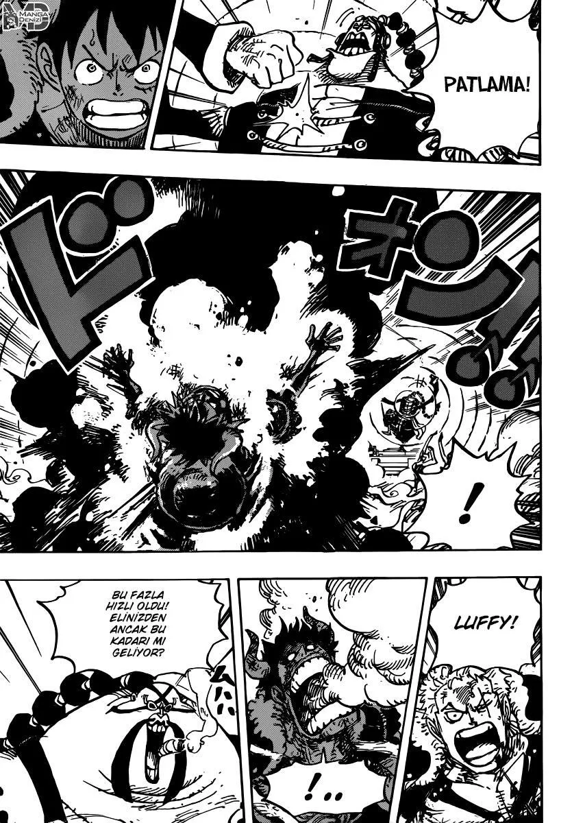 One Piece - Sayfa 14