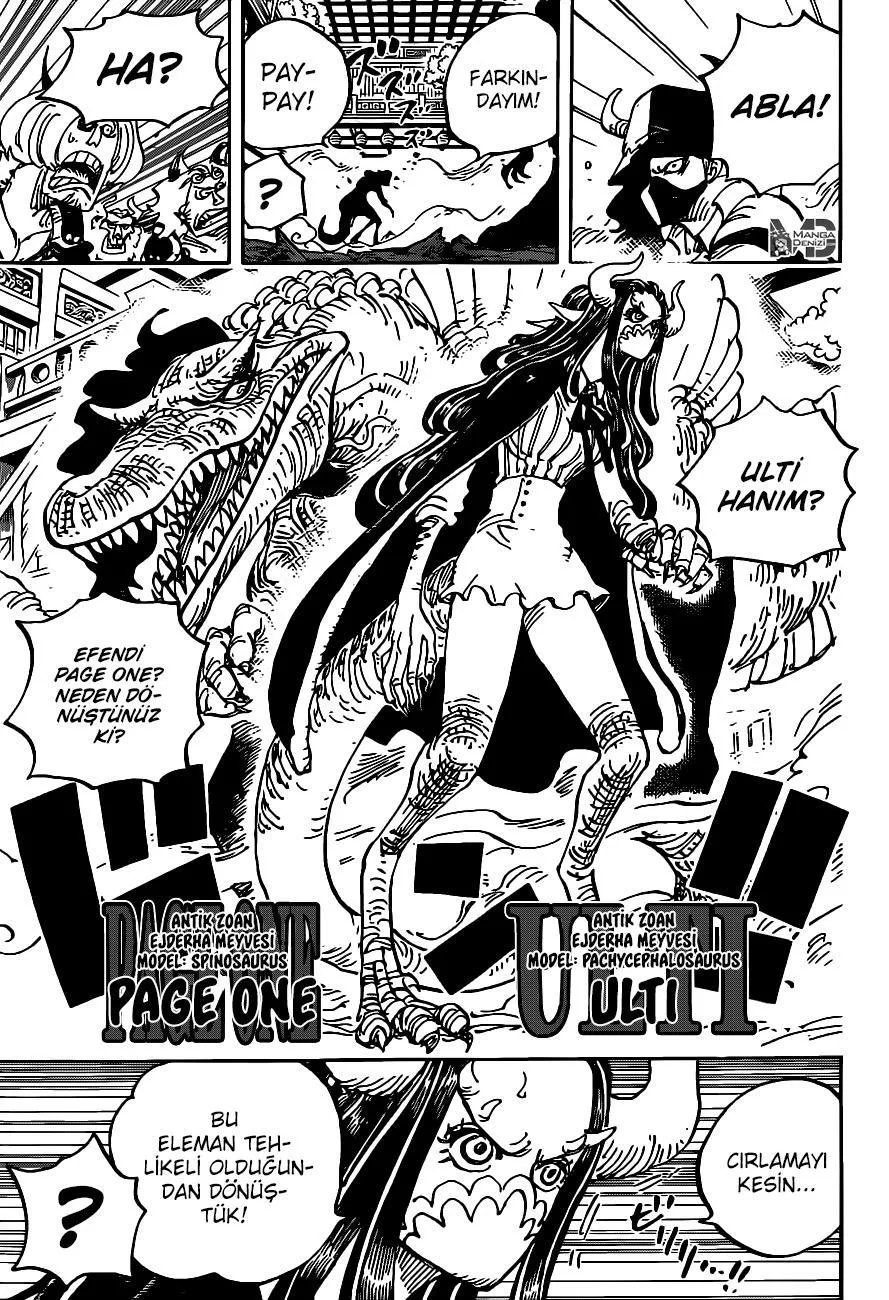 One Piece - Sayfa 12