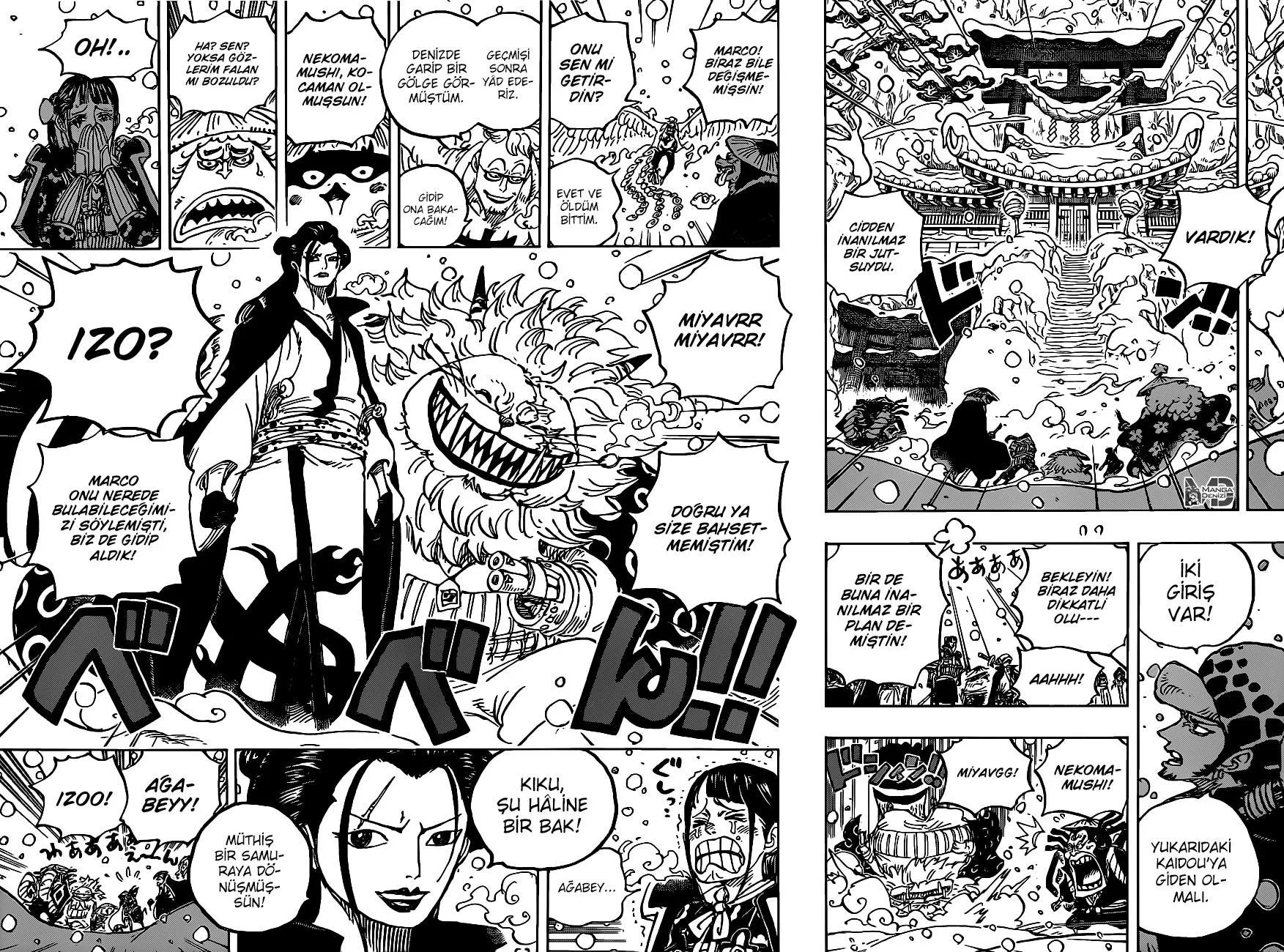 One Piece - Sayfa 12