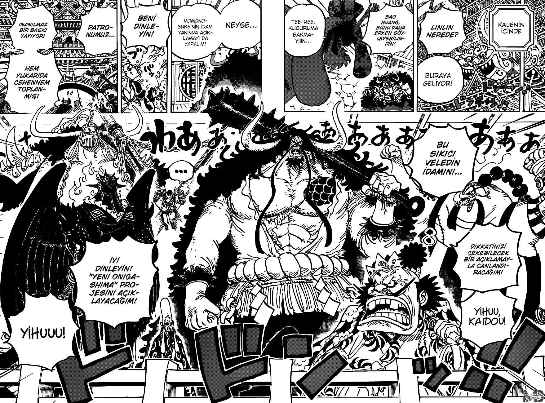 One Piece - Sayfa 13