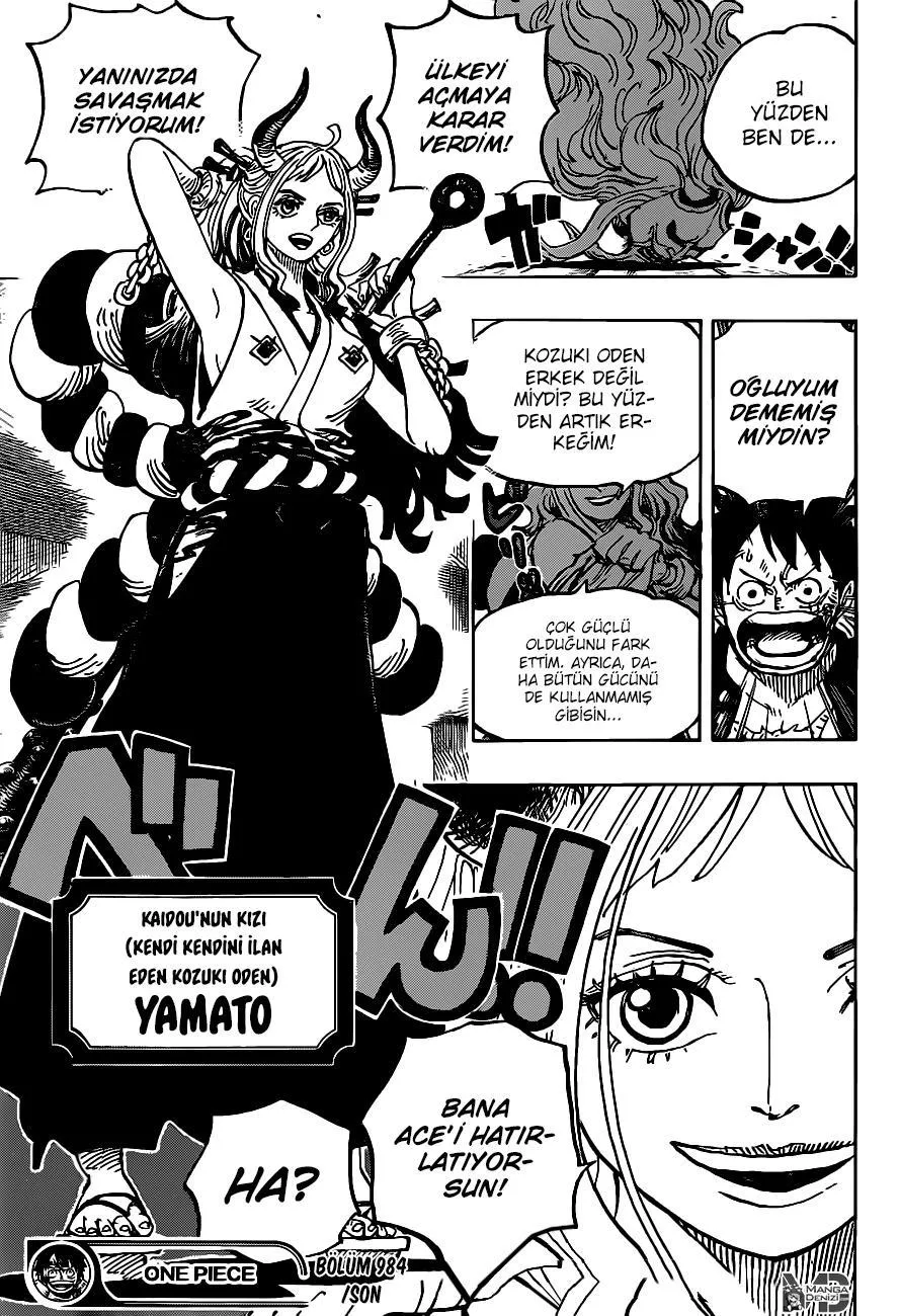 One Piece - Sayfa 15