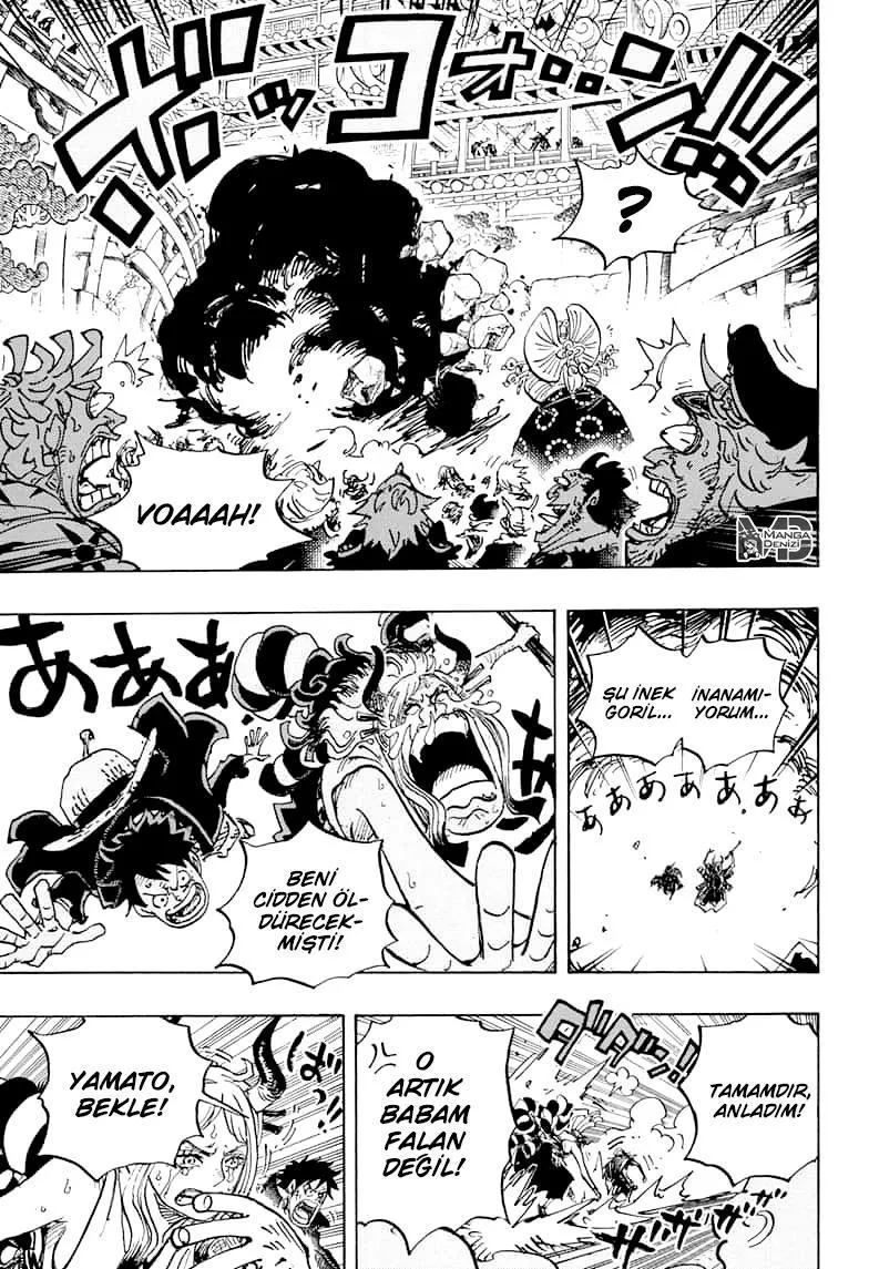 One Piece - Sayfa 13