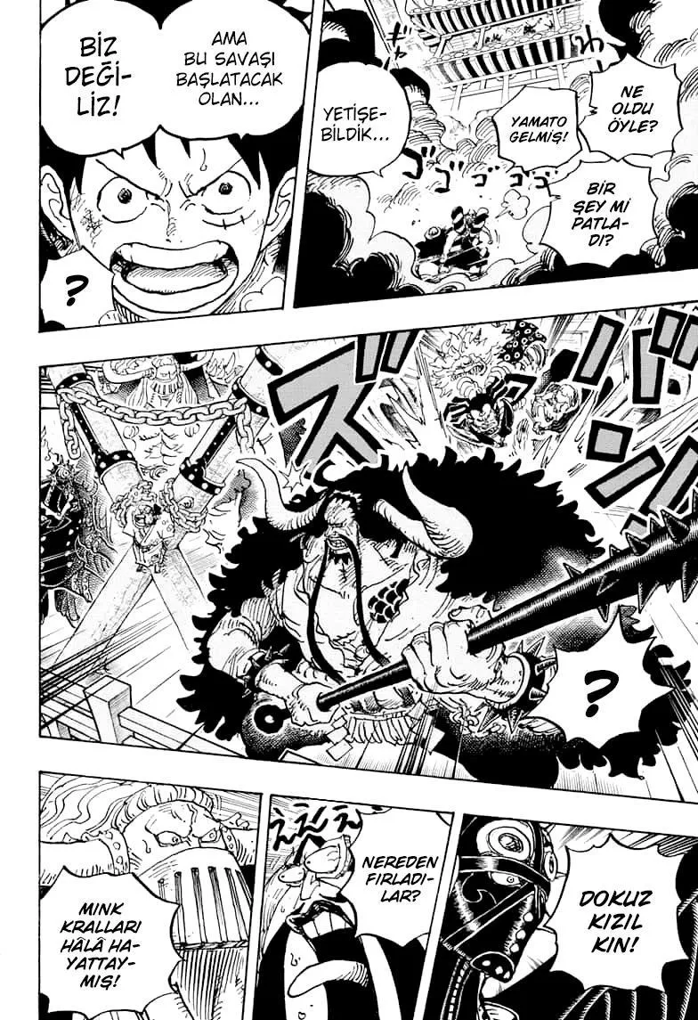 One Piece - Sayfa 14