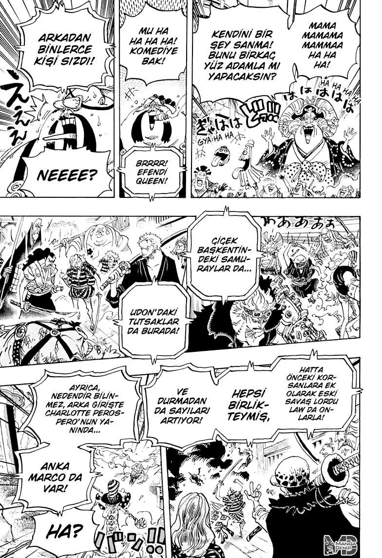 One Piece - Sayfa 12