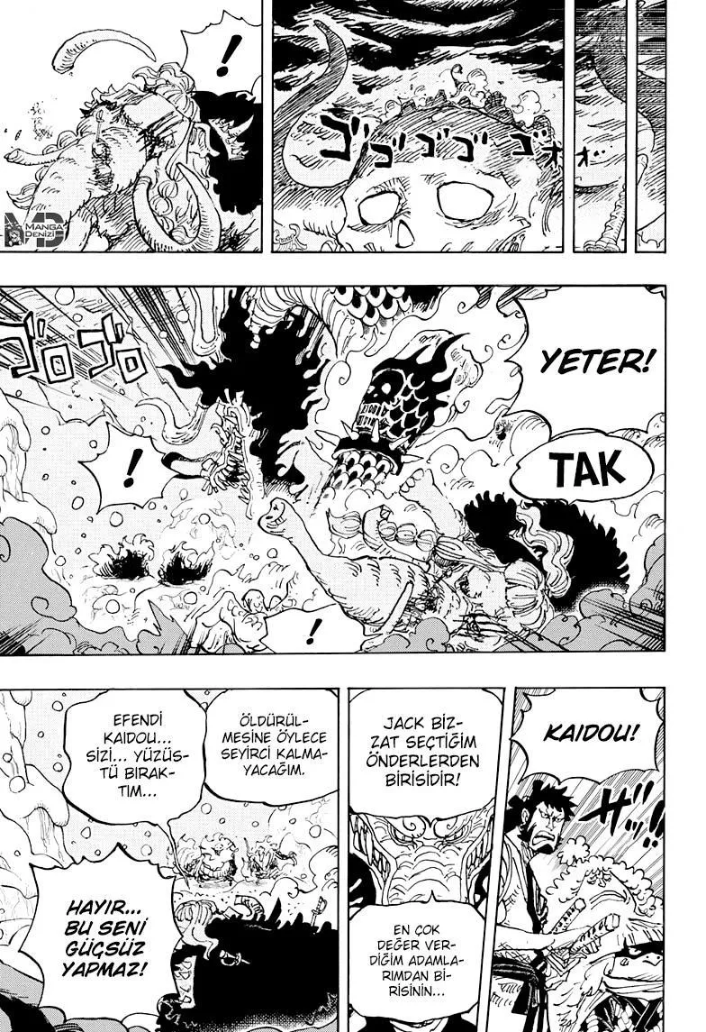 One Piece - Sayfa 14