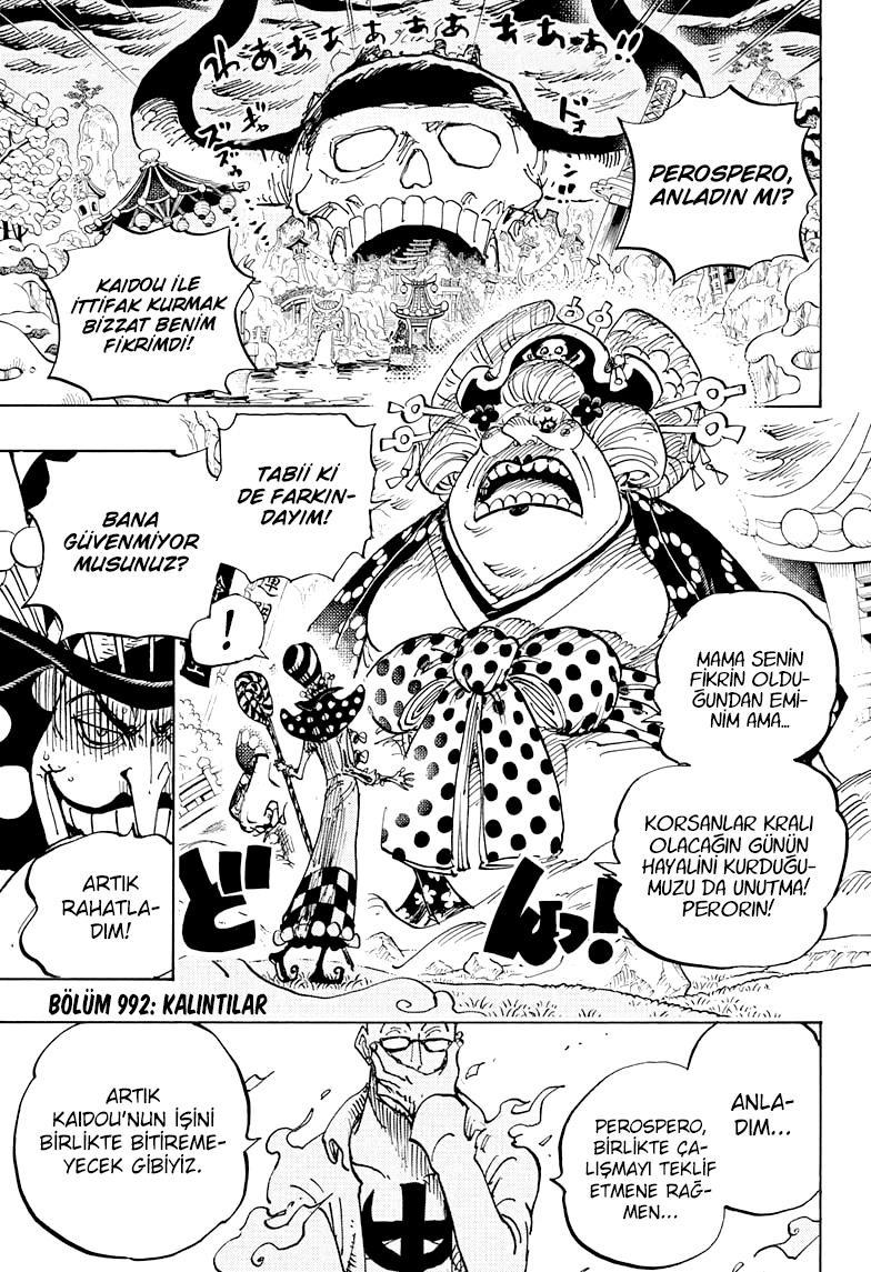 One Piece mangasının 0992 bölümünün 4. sayfasını okuyorsunuz.