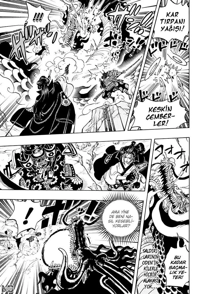 One Piece - Sayfa 12