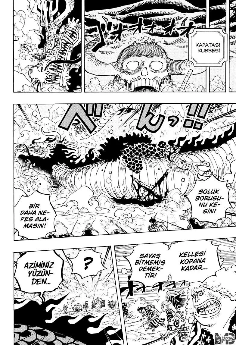 One Piece - Sayfa 14