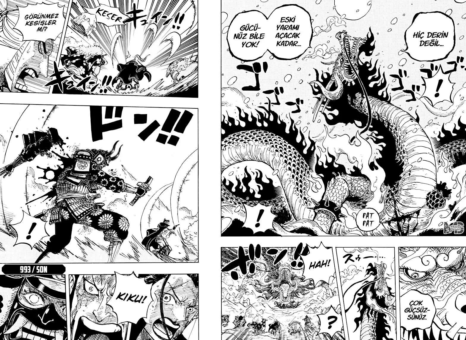 One Piece - Bölüm 0993 - Sayfa 16