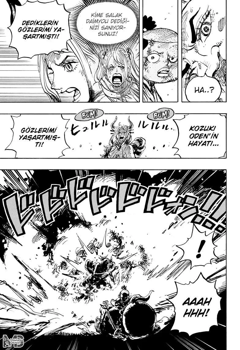 One Piece - Sayfa 15