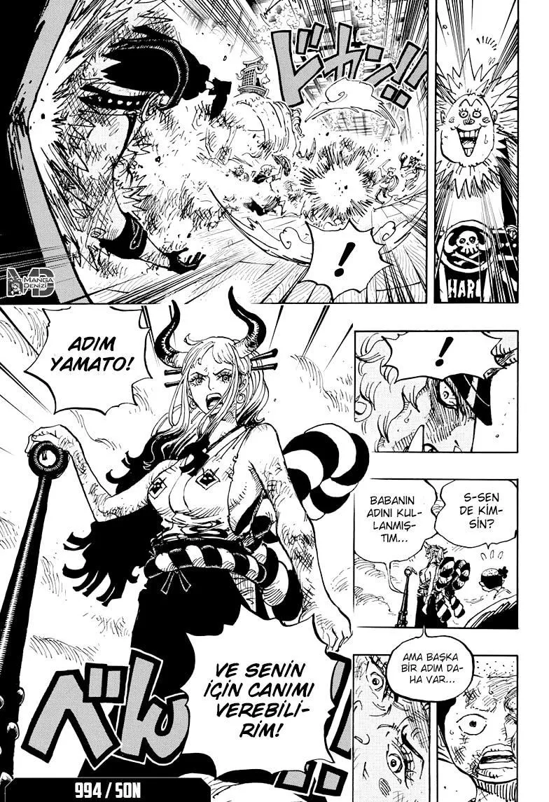 One Piece - Sayfa 17