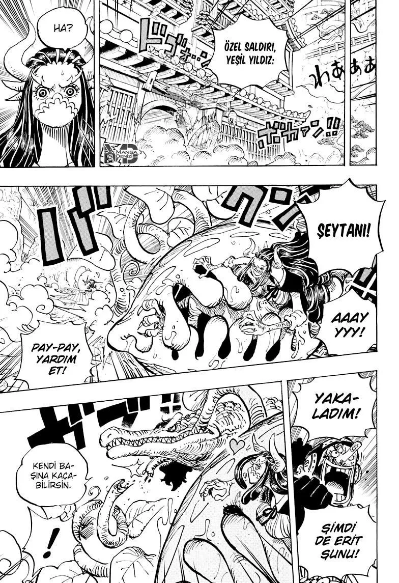 One Piece - Sayfa 12