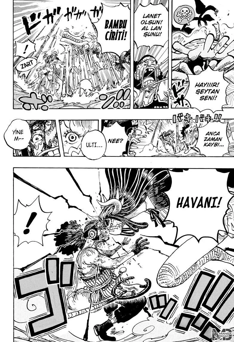 One Piece - Sayfa 13