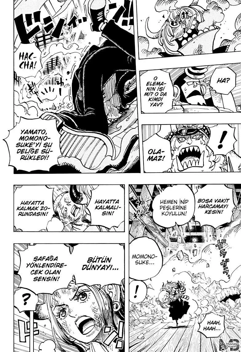 One Piece - Sayfa 11