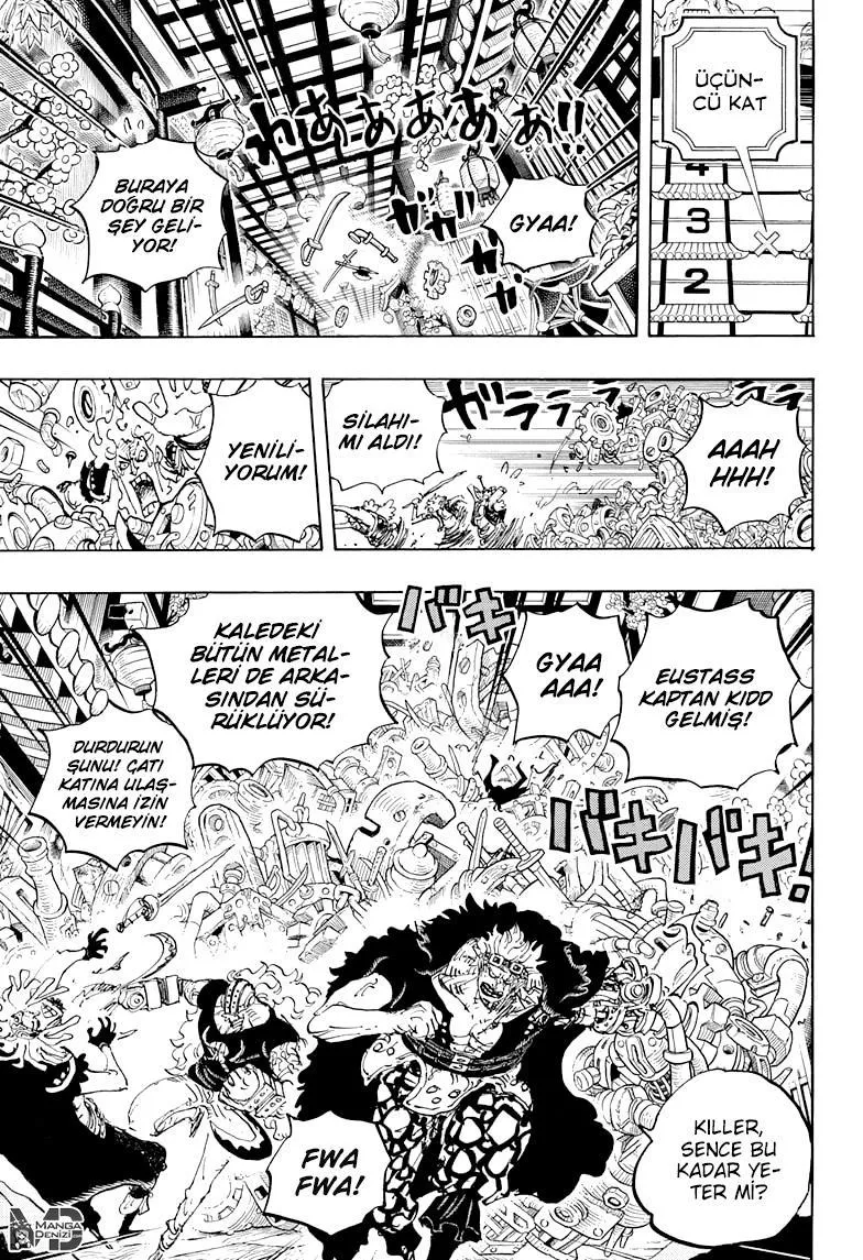 One Piece - Sayfa 14