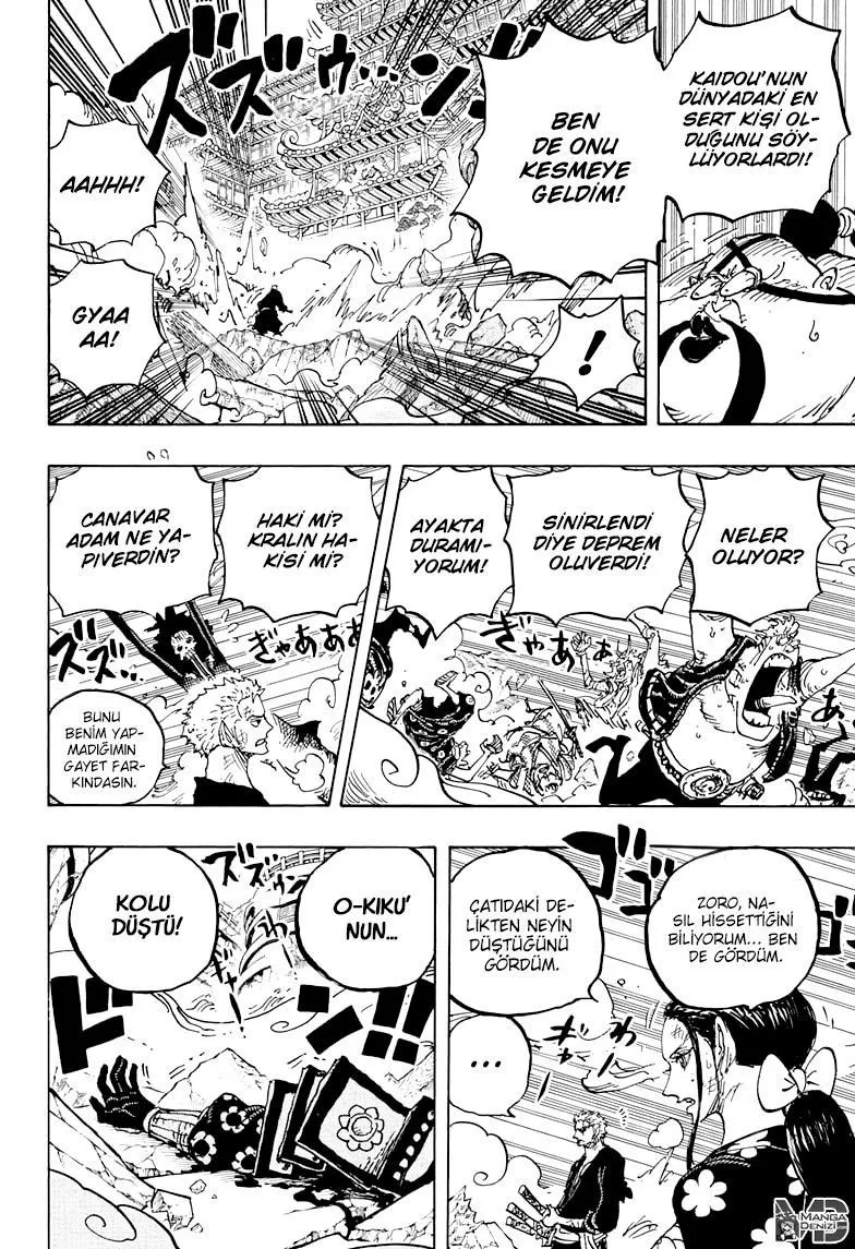 One Piece - Sayfa 13