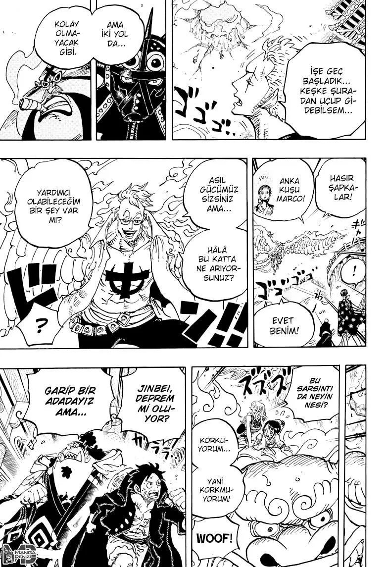 One Piece - Sayfa 14