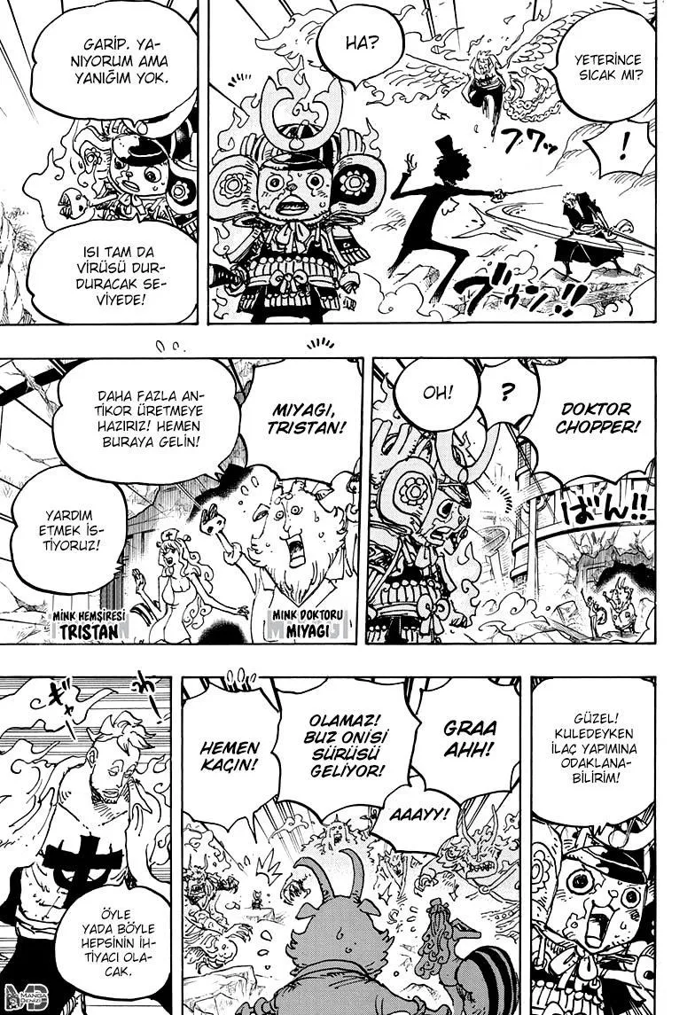 One Piece - Sayfa 4
