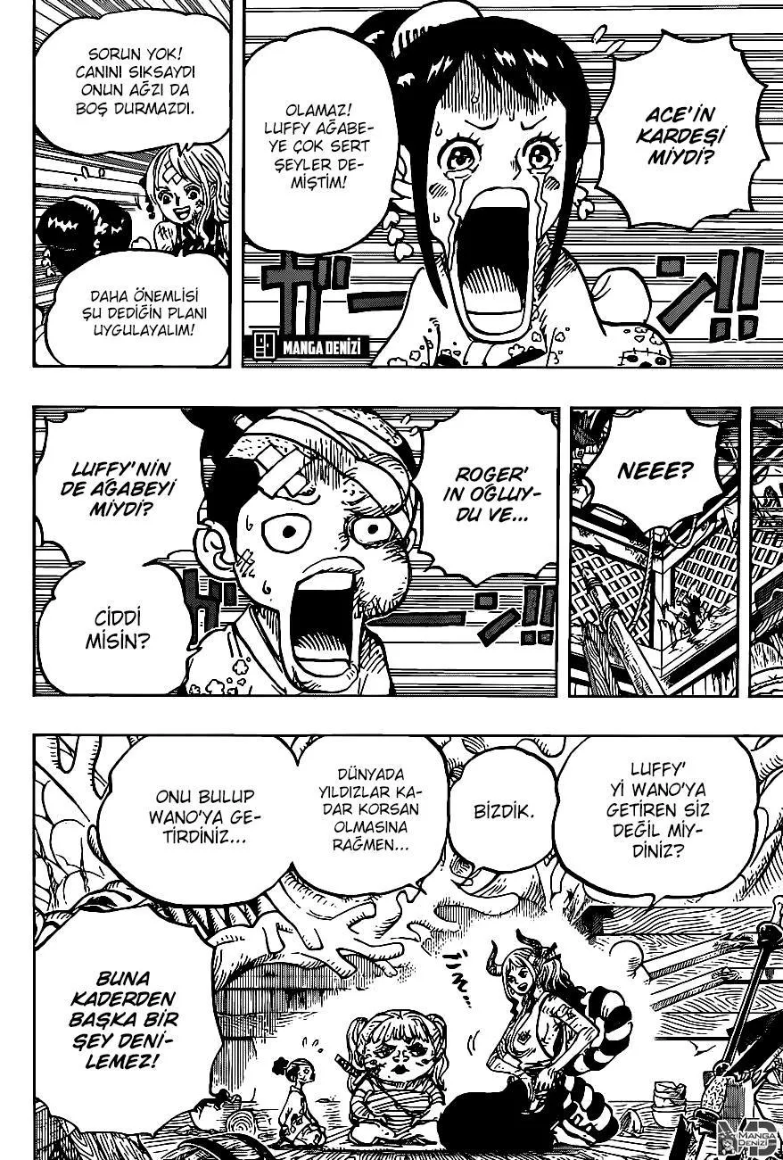 One Piece - Sayfa 14