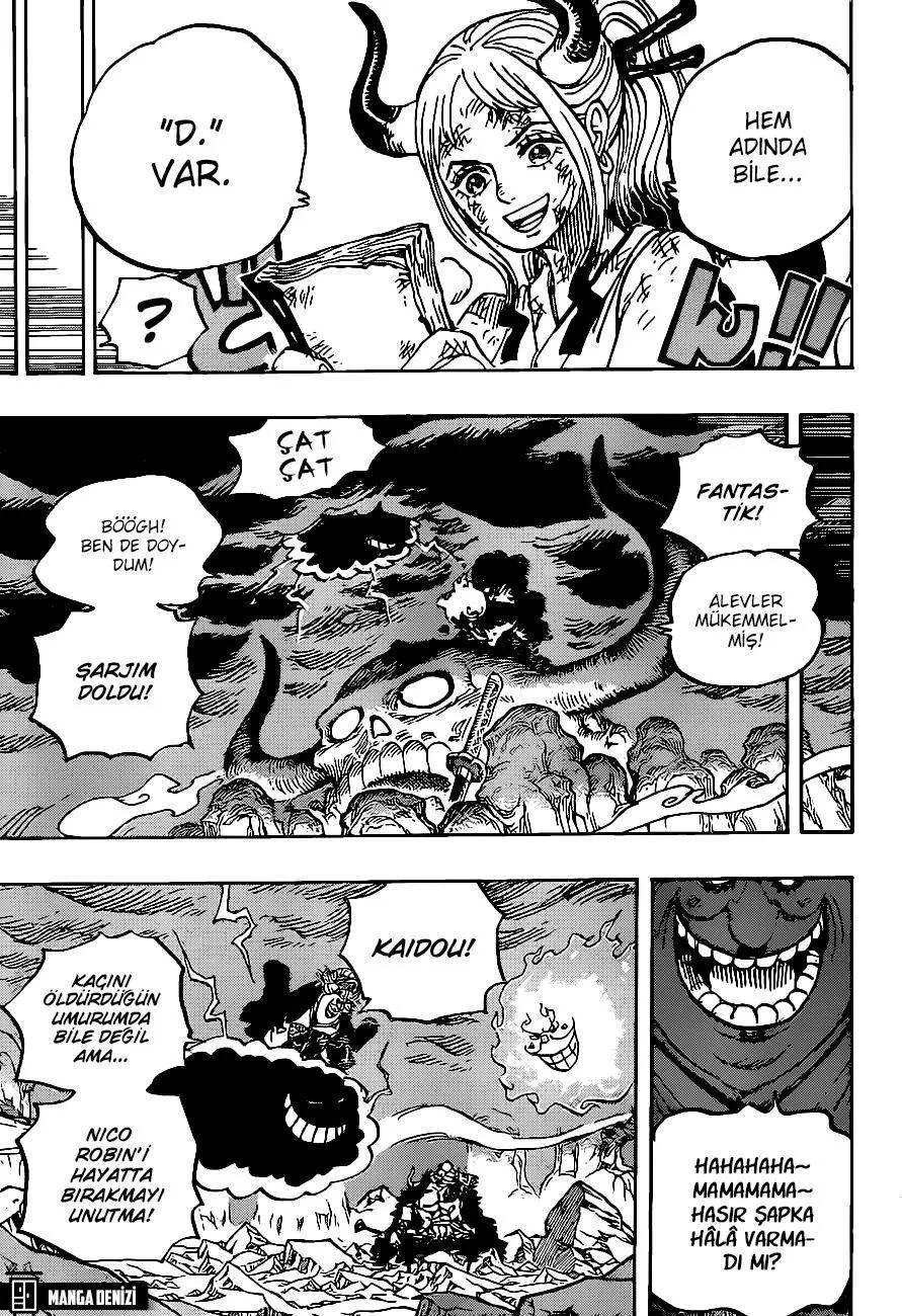 One Piece - Sayfa 15