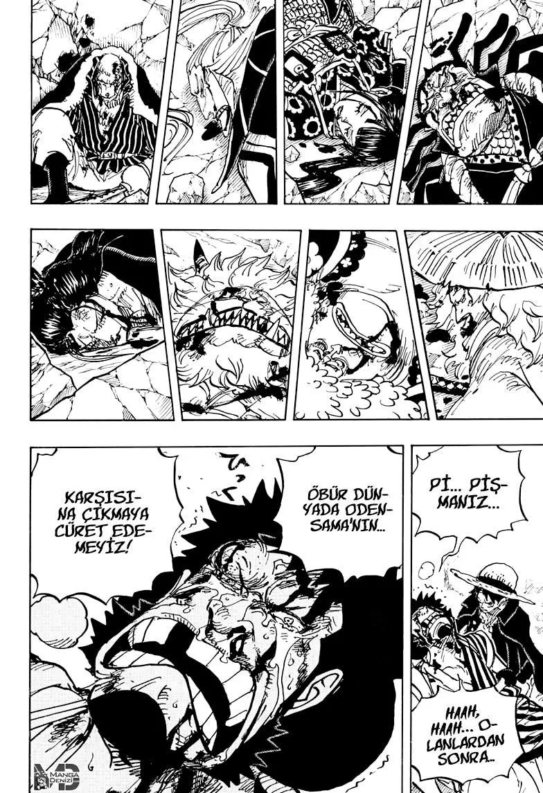 One Piece - Sayfa 13