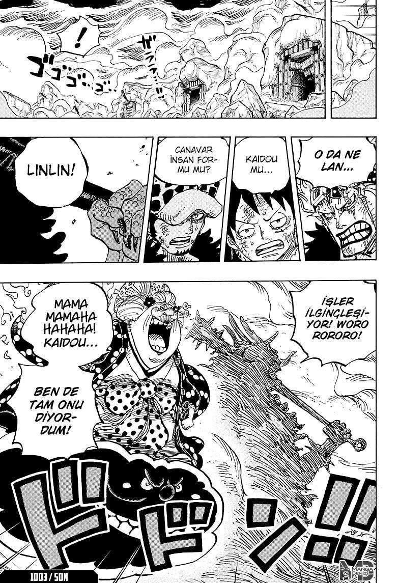 One Piece mangasının 1003 bölümünün 14. sayfasını okuyorsunuz.