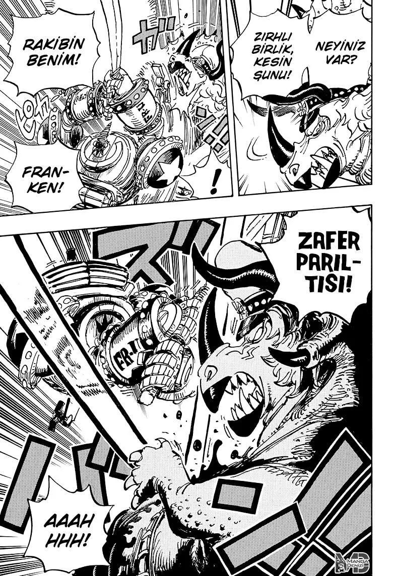 One Piece - Sayfa 13