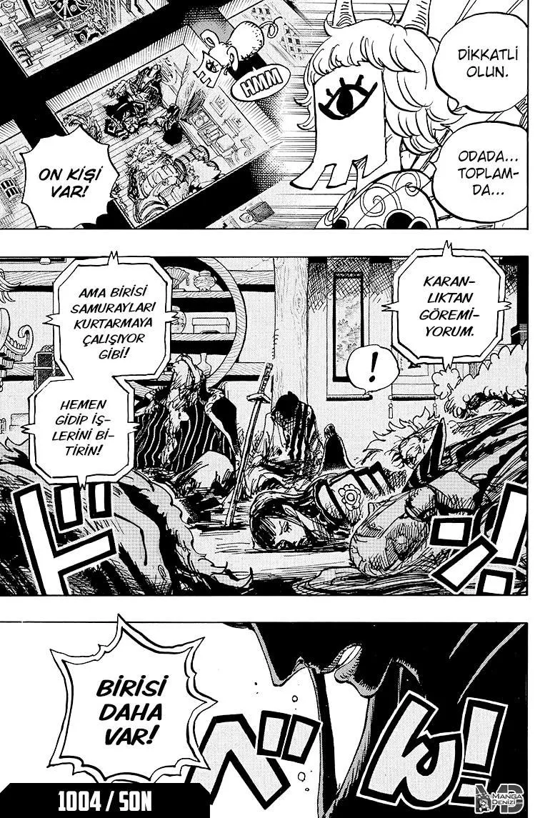 One Piece - Sayfa 17