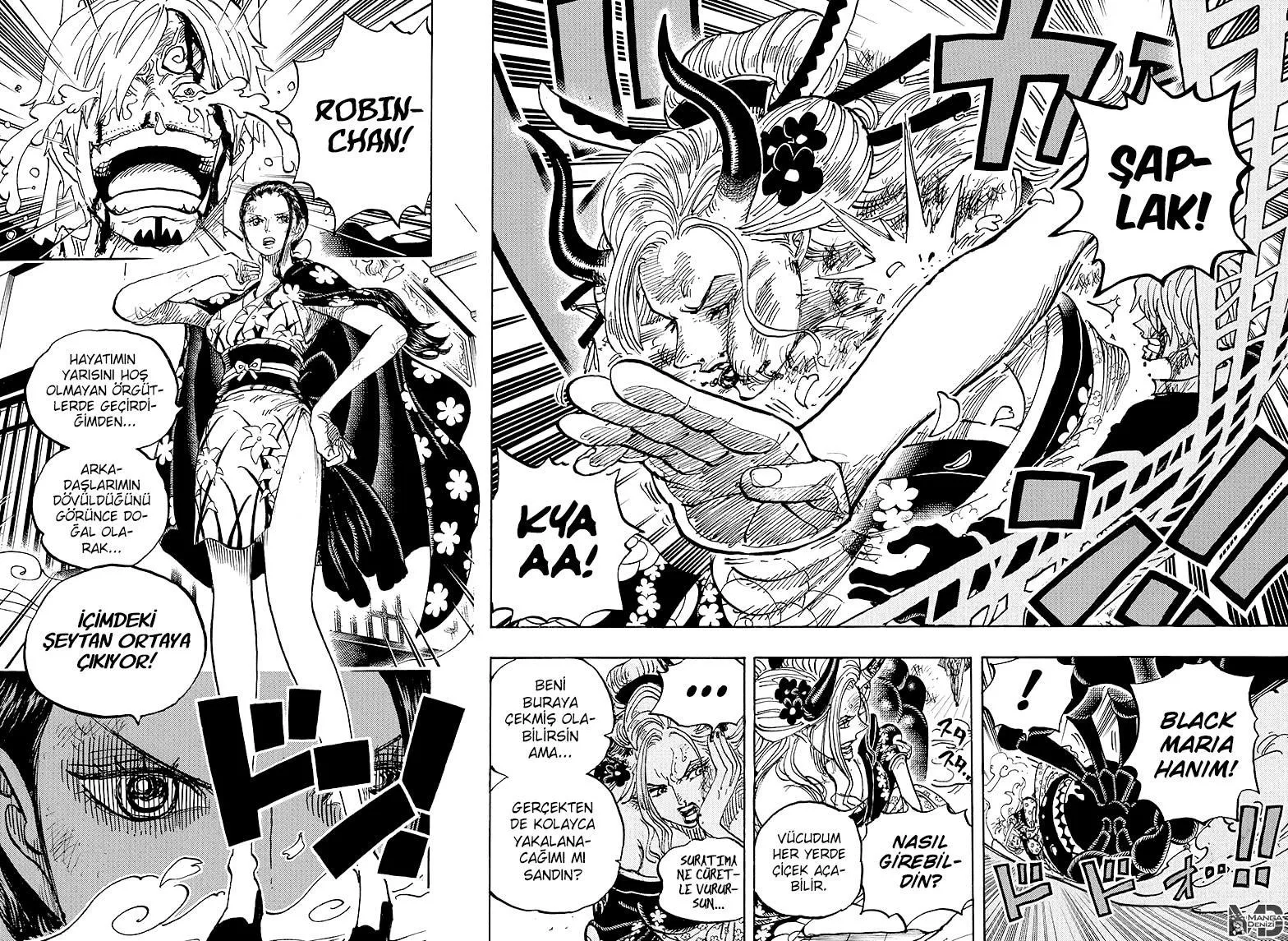 One Piece - Sayfa 11