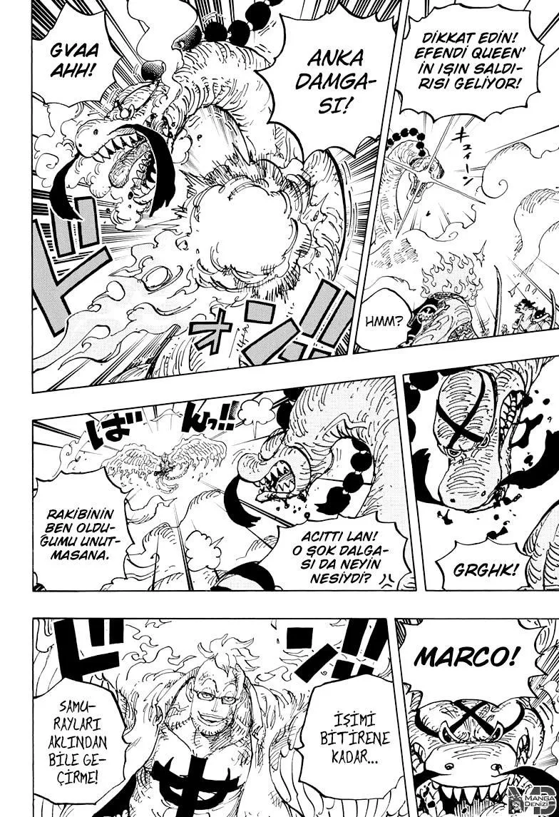 One Piece - Sayfa 14