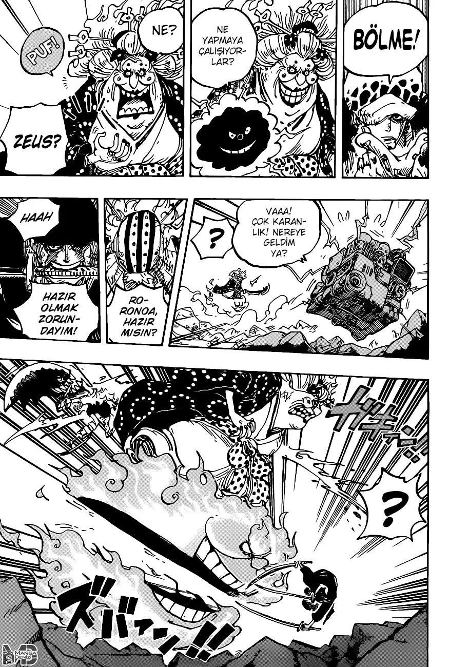 One Piece - Sayfa 13