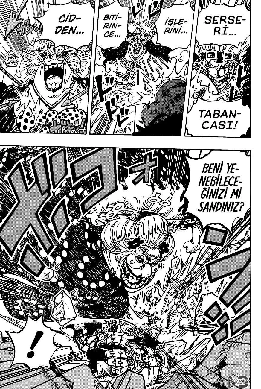 One Piece - Sayfa 15