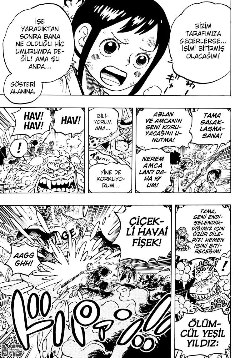 One Piece - Sayfa 13