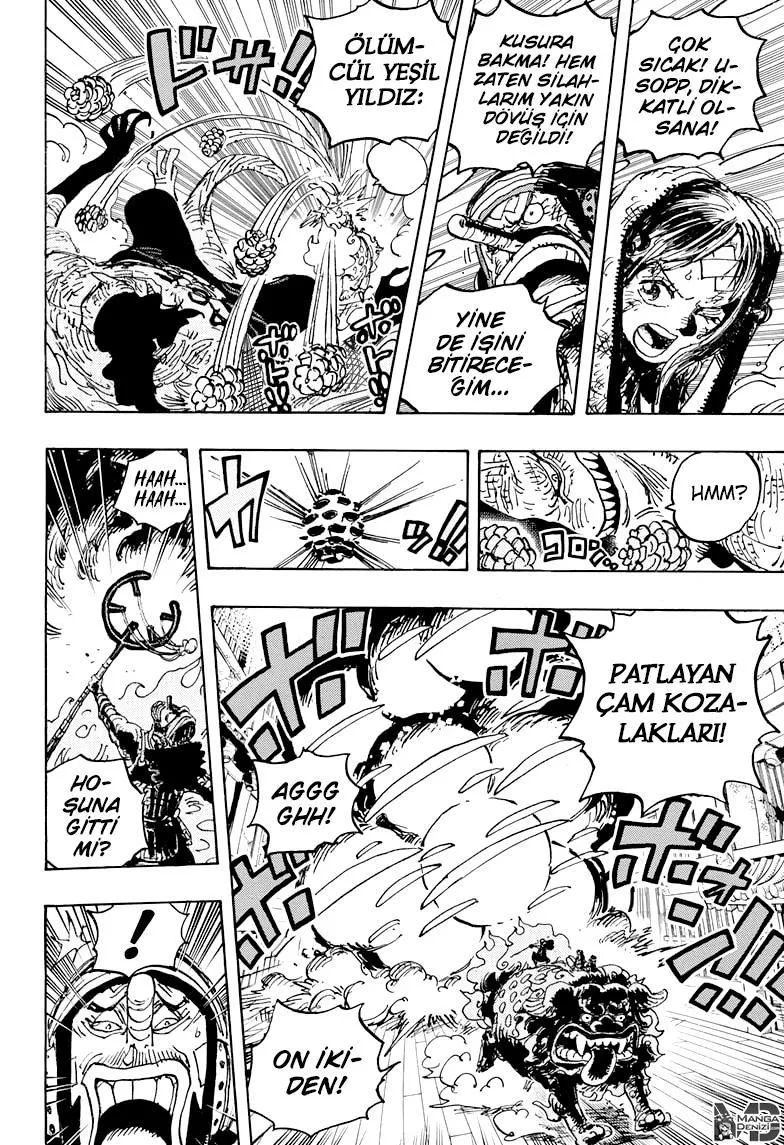 One Piece - Sayfa 14
