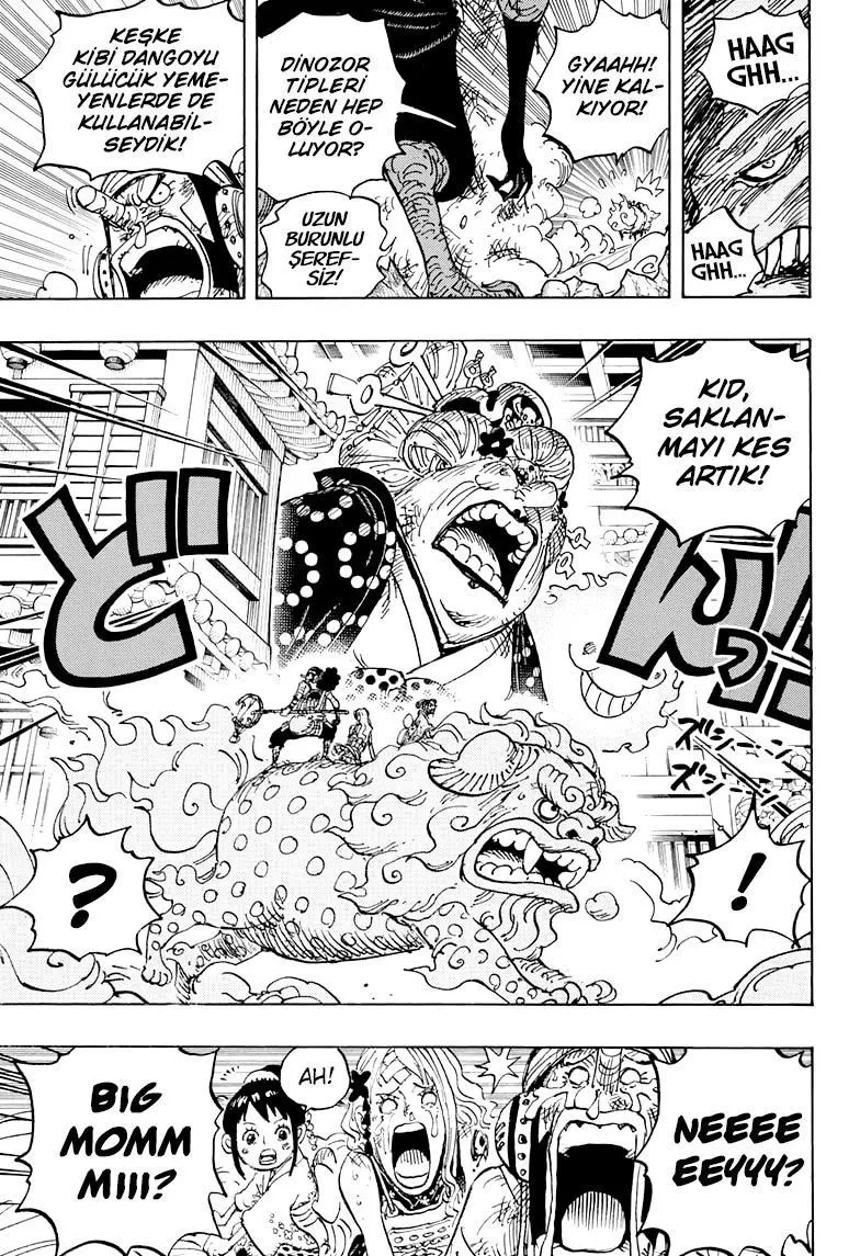 One Piece - Sayfa 15