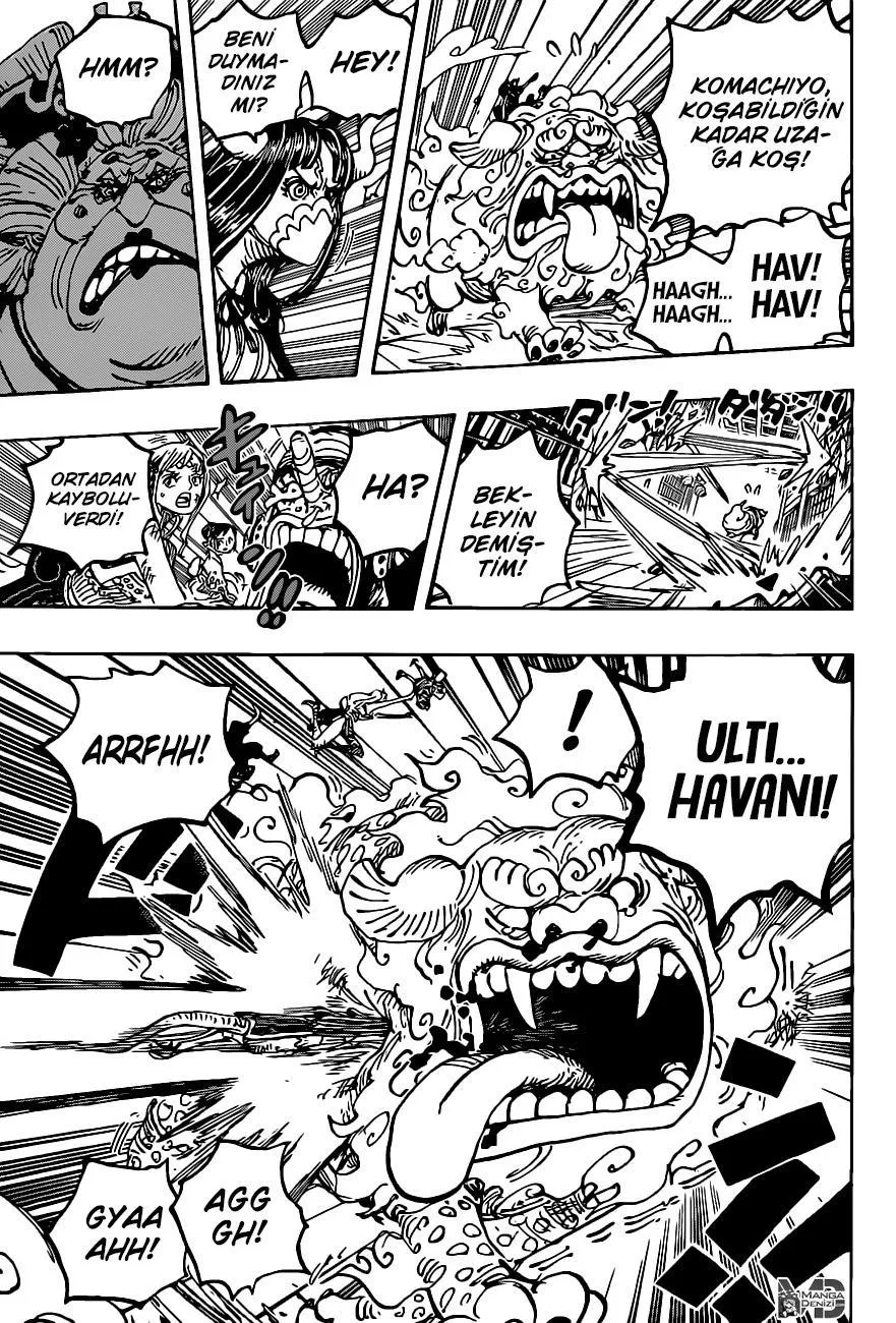 One Piece - Sayfa 14