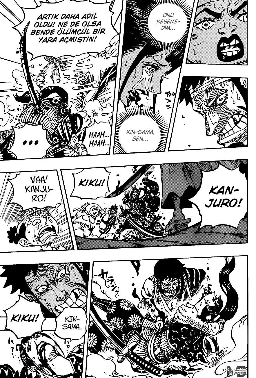 One Piece - Sayfa 13