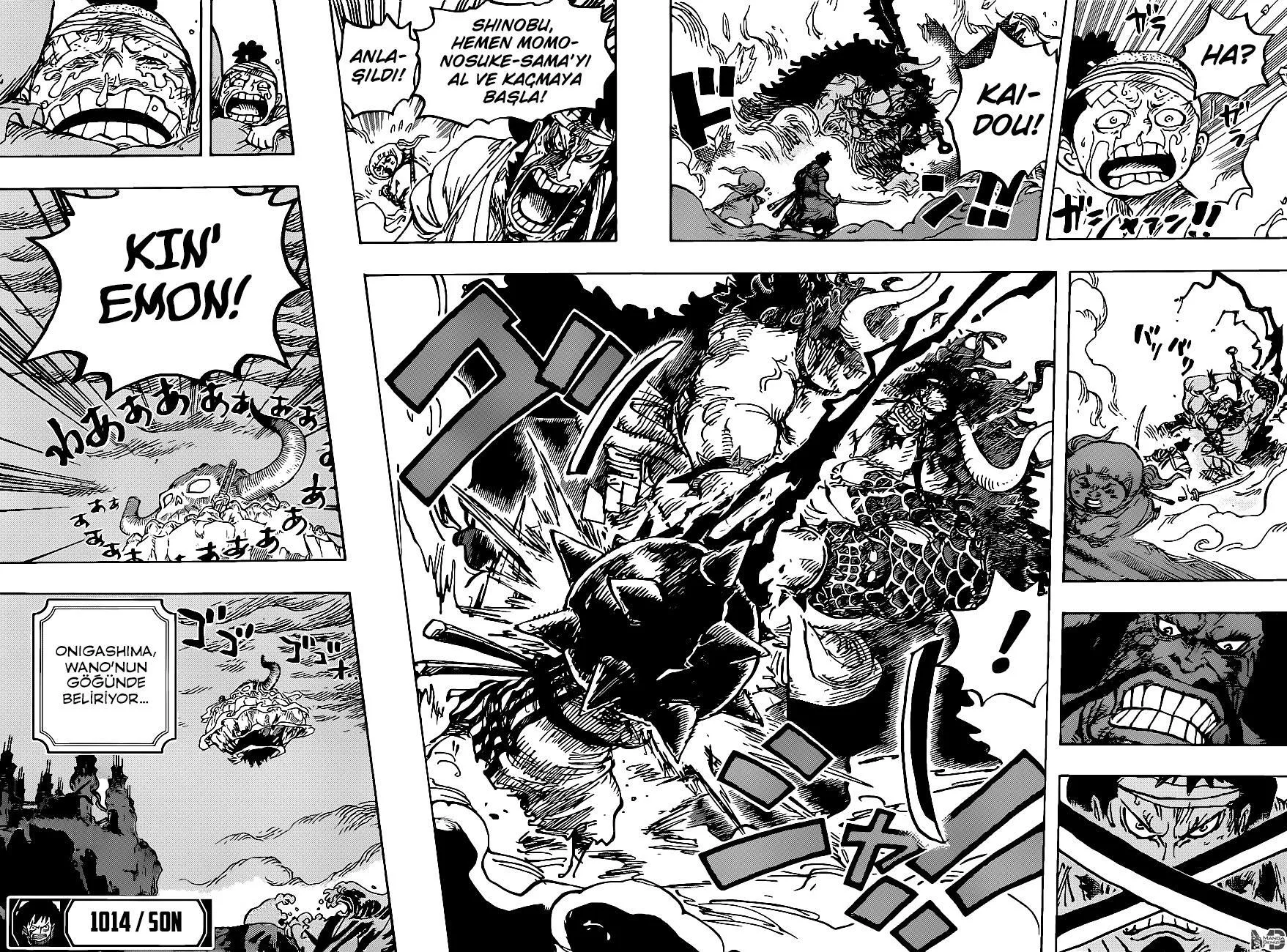 One Piece - Sayfa 15