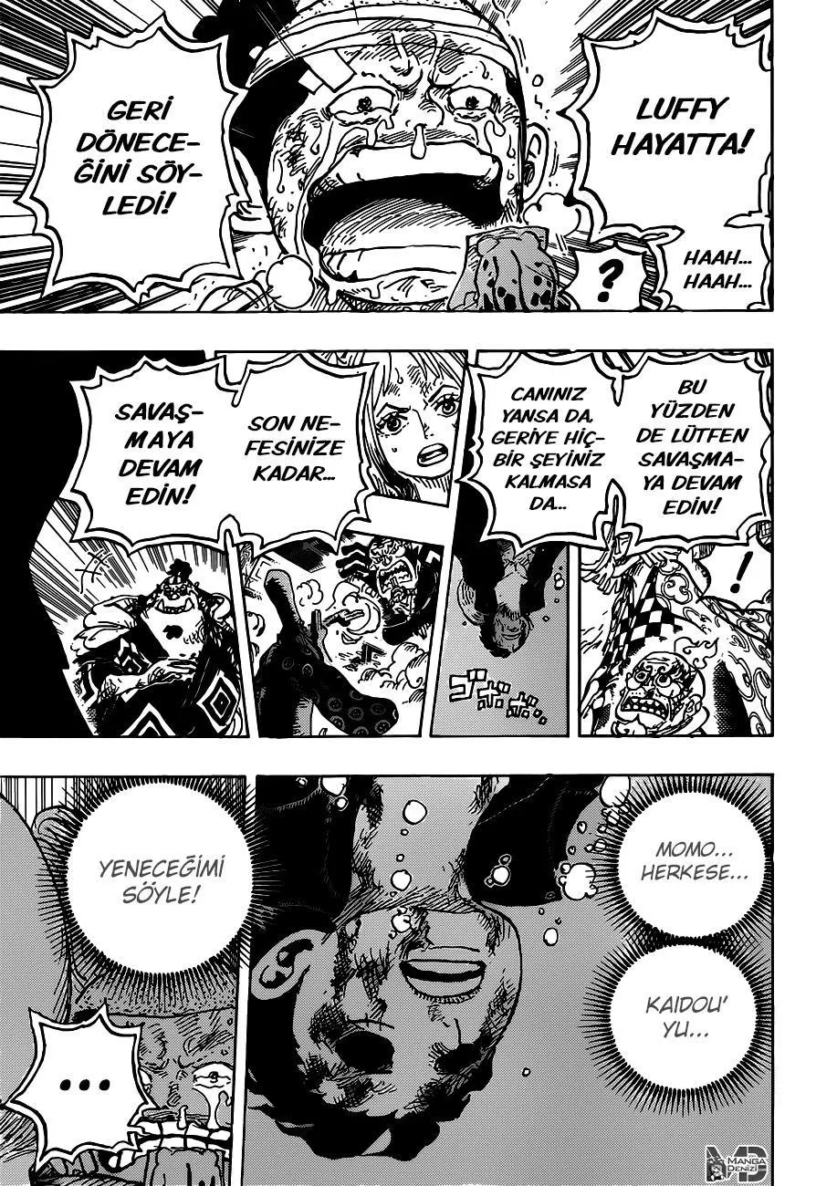 One Piece - Sayfa 13