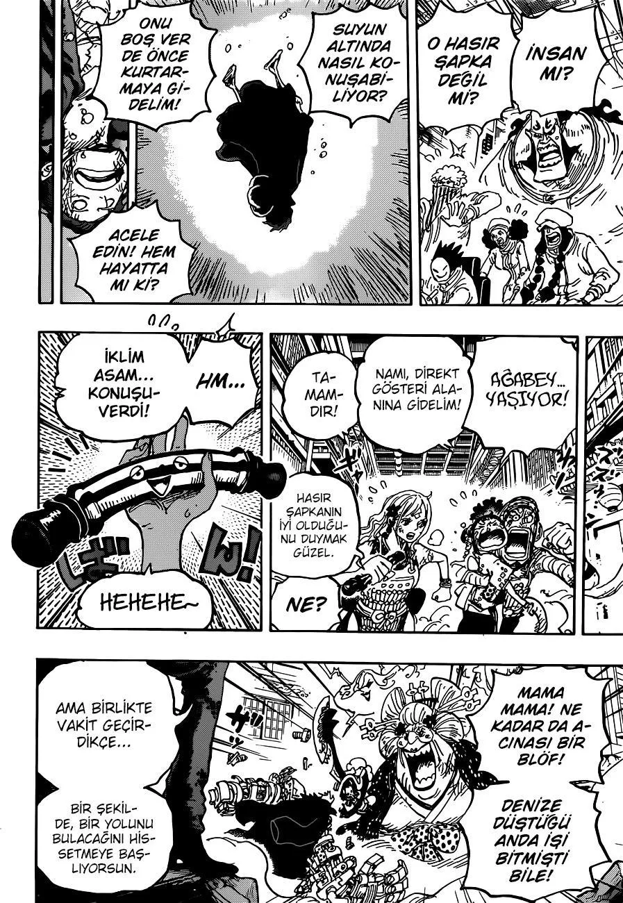 One Piece - Sayfa 15