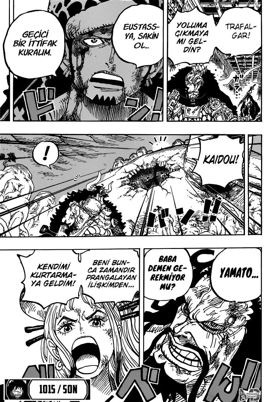 One Piece - Sayfa 16