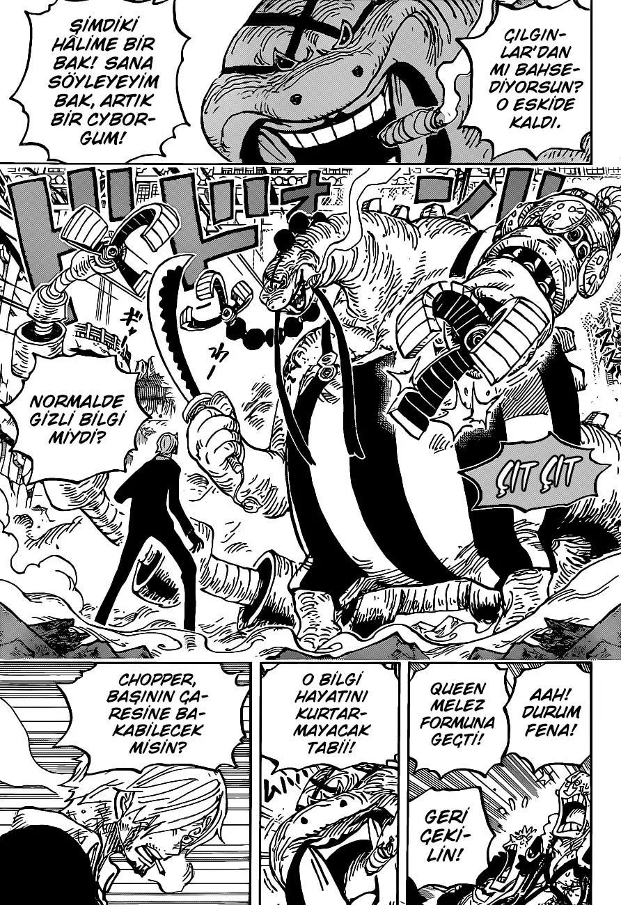 One Piece - Sayfa 12