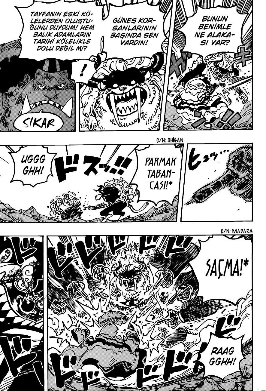 One Piece - Sayfa 14