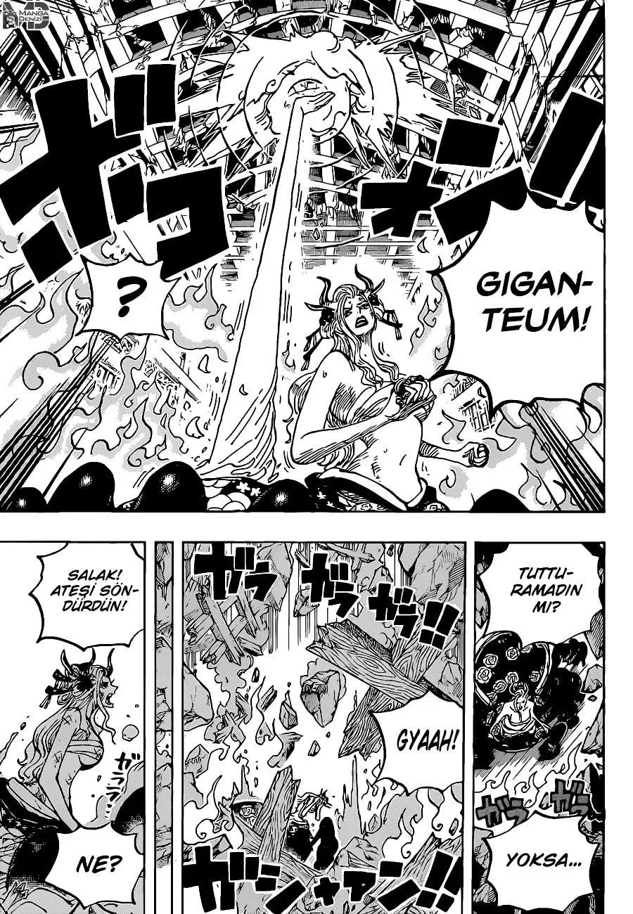 One Piece - Sayfa 12