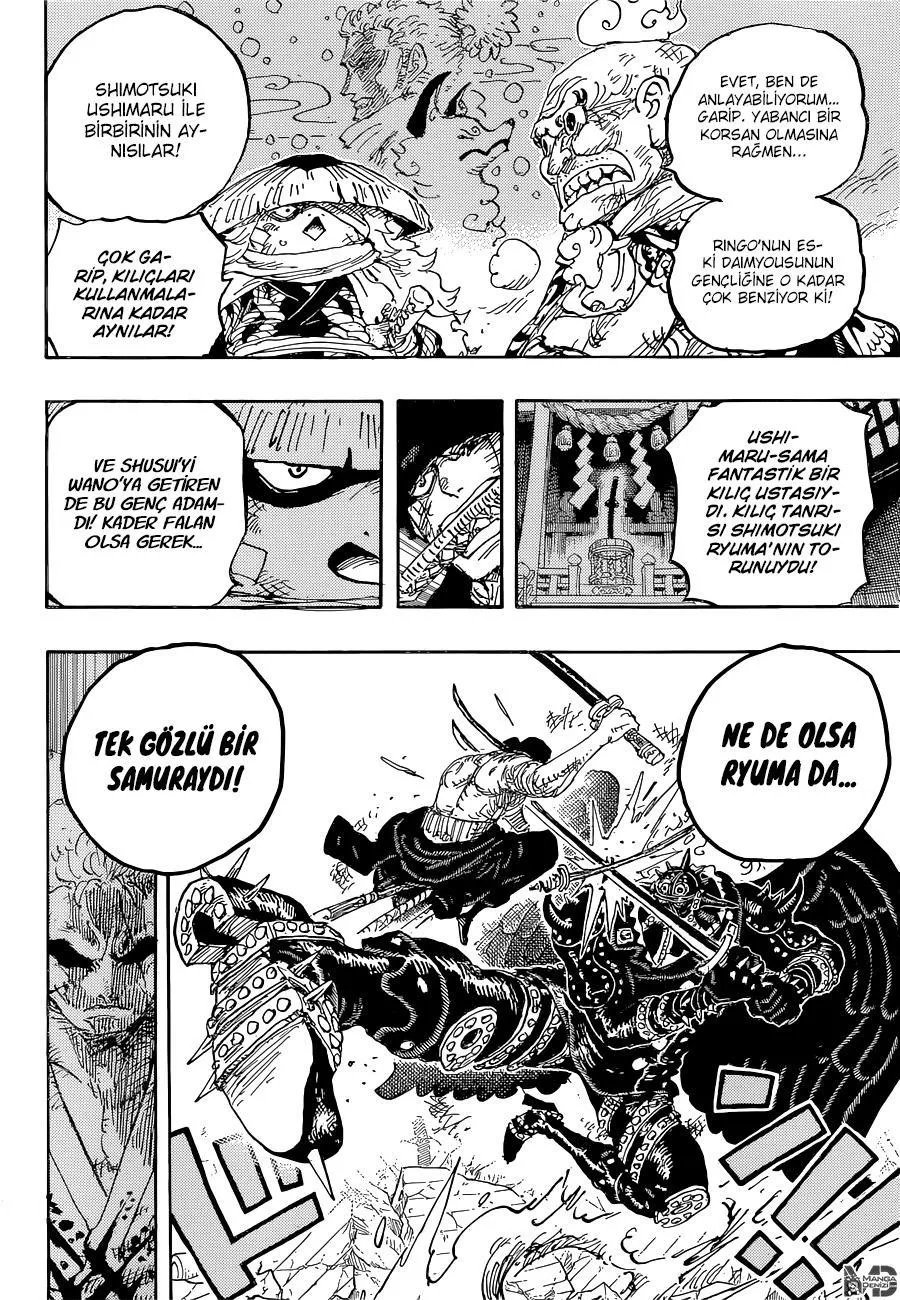 One Piece - Sayfa 12