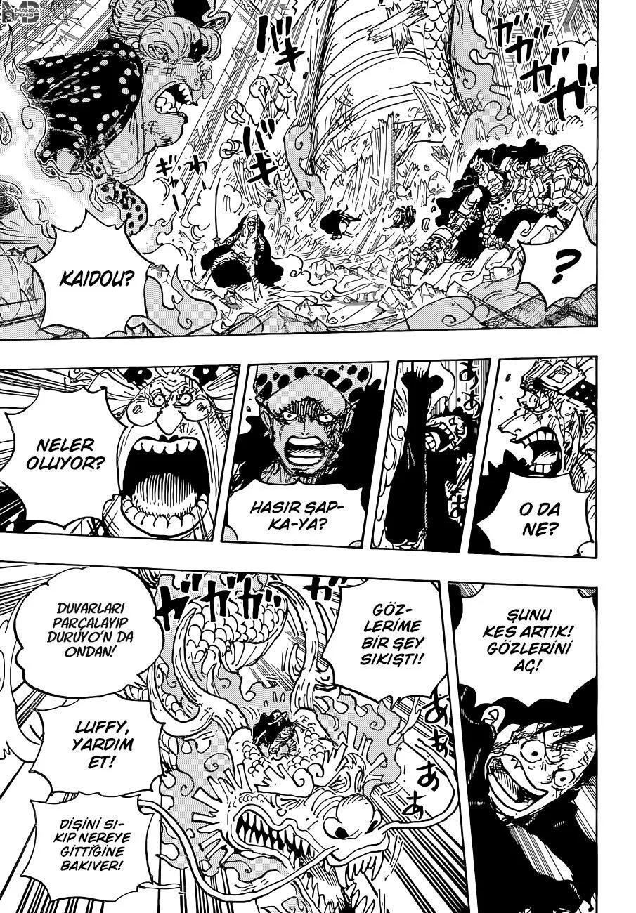 One Piece - Sayfa 13
