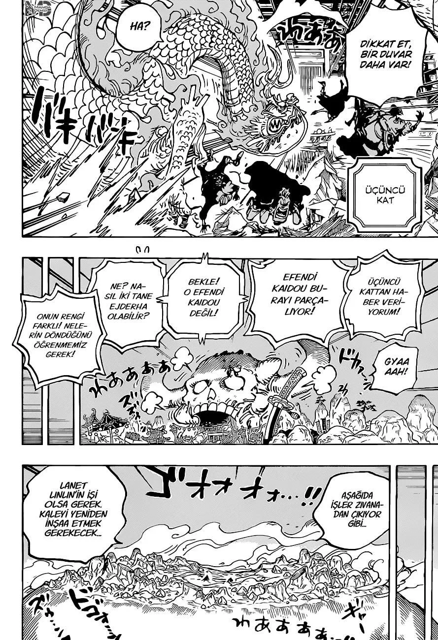 One Piece - Sayfa 14