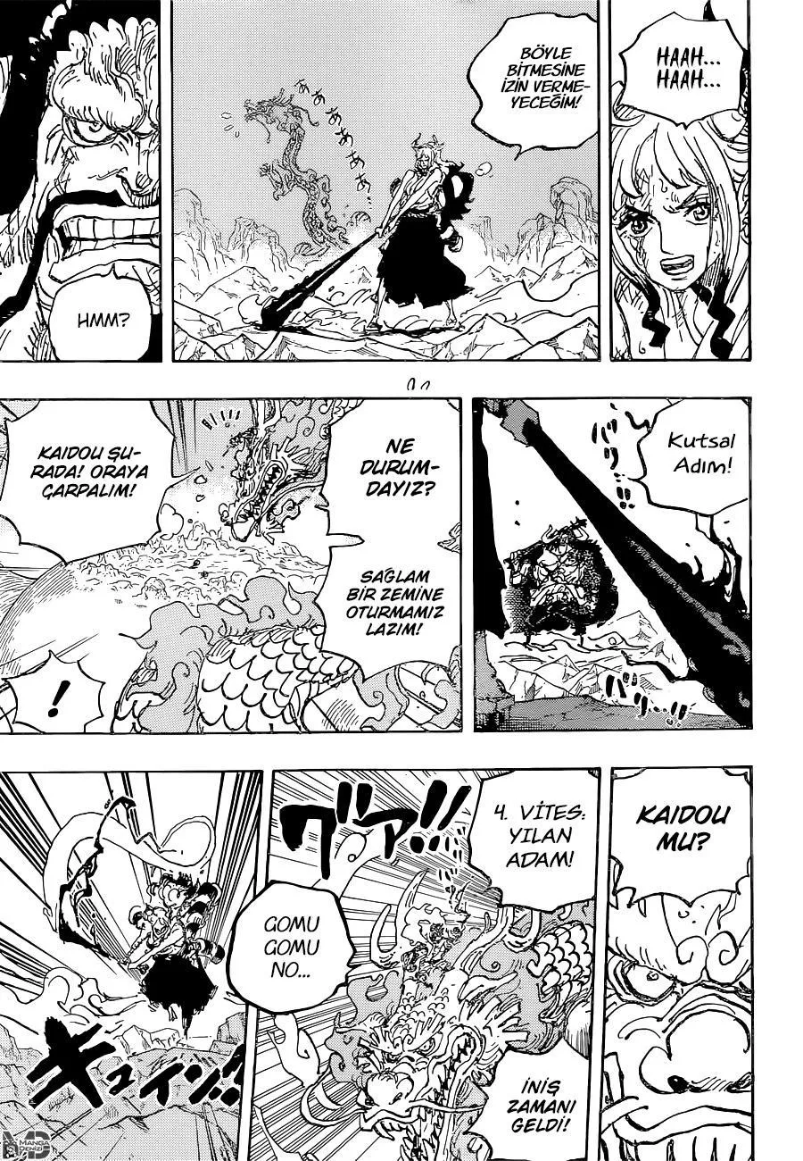 One Piece - Sayfa 15